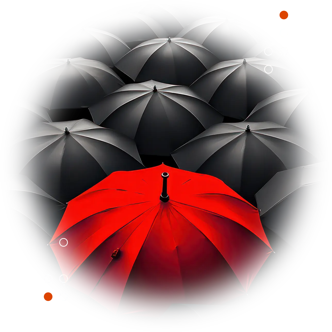 Expertise Websites Page Unique A